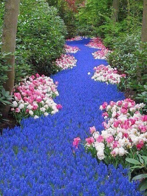 नदी या फूलों का बगीचा, 10 सेकेंड में दिया जवाब तो कहलाएंगे जीनियस