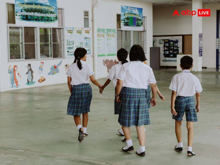 जापान में स्कूल यूनिफॉर्म को Seifuku कहा जाता है और इसमें स्कर्ट शामिल होता है और स्टूडेंट अपने हिसाब से फीटिंग करवाते हैं. माना जाता है कि छोटे स्कर्ट पहनने का कल्चर 90 के दशक में फेमस जापानी पॉप स्टार नामी अमूरो की वजह से हुआ.