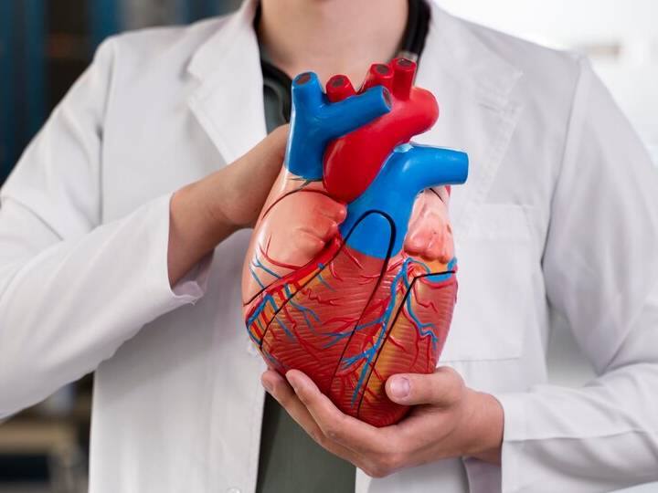 भीड़भाड़ वाली जगह में हार्ट अटैक का खतरा ज्यादा रहता है? इससे जुड़े फैक्ट्स कर सकते हैं परेशान Crowded spaces increase heart attack risk read full article in hindi भीड़भाड़ वाली जगह में हार्ट अटैक का खतरा ज्यादा रहता है? इससे जुड़े फैक्ट्स कर सकते हैं परेशान