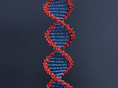 शरीर के किन चीजों से हो सकती है DNA जांच, जानिए एनालिसिस प्रक्रिया