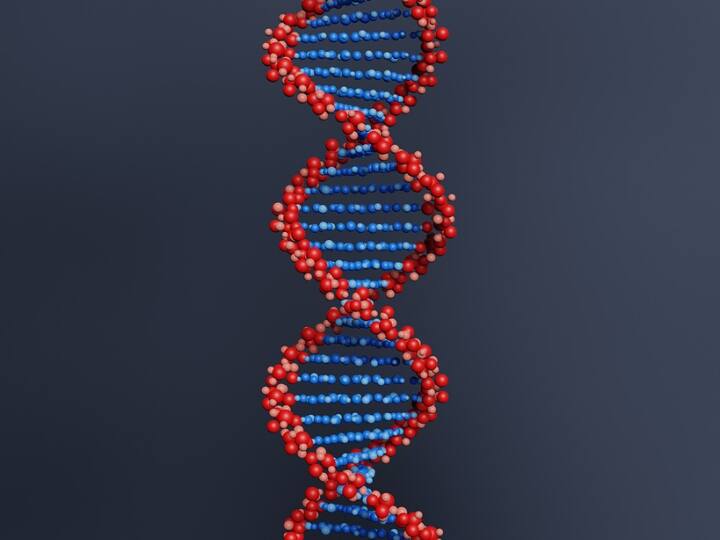 DNA की जांच करने के लिए सैंपल के तौर पर हम इंसान का खून, लार, थूक, नाखून, बाल, दांत, हड्डियां, यूरिन और वीर्य का इस्तेमाल कर सकते हैं.