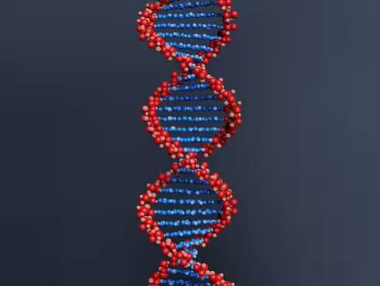 DNA ਦੀ ਜਾਂਚ ਕਰਨ ਲਈ, ਅਸੀਂ ਨਮੂਨੇ ਵਜੋਂ ਮਨੁੱਖ ਦਾ ਖੂਨ, ਥੁੱਕ, ਨਹੁੰ, ਵਾਲ, ਦੰਦ, ਹੱਡੀਆਂ, ਪਿਸ਼ਾਬ ਅਤੇ ਵੀਰਜ ਦੀ ਵਰਤੋਂ ਕਰ ਸਕਦੇ ਹਾਂ।