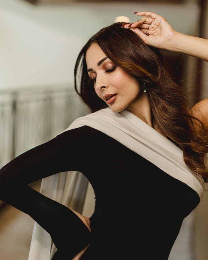 मलायका अरोरा विवाहित असताना तिच्यापेक्षा 11 वर्षांनी लहान अभिनेता अर्जुन कपूरच्या प्रेमात पडली होती.