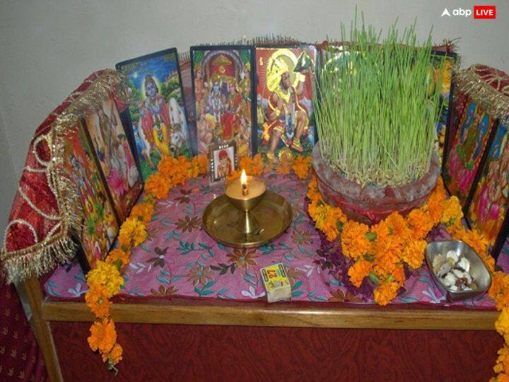 नवरात्रि के कुछ जवारों को परिवार के सदस्यों में बांटें. बड़ों से आशीर्वाद लें. कहते हैं हरे-भरे जवारों को देवी दुर्गा का आशीर्वाद माना जाता है. इनके घर में होने से परिवार में क्लेश नहीं होते.