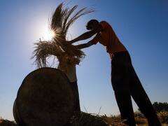 किसानों के लिए अच्छी खबर, कार्बन क्रेडिट से होगी अतिरिक्त कमाई, जानिए कैसे होगा संभव