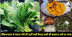 Sarson ka saag: ਸੱਭਿਆਚਾਰ ਤੇ ਸਵਾਦ ਪੱਖੋਂ ਹੀ ਨਹੀਂ ਸਗੋਂ ਸਿਹਤ ਲਈ ਵੀ ਵਰਦਾਨ ਸਰੋਂ ਦਾ ਸਾਗ
