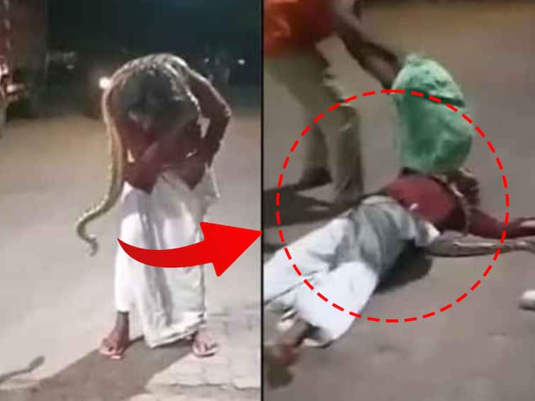 viral video kerala man reached kannur petrol pump with python wrapped around neck VIDEO: दारूच्या नशेत गळ्यात गुंडाळला जिवंत अजगर; पेट्रोल पंपावर येऊन म्हणतो 