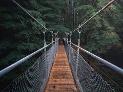 फारेस्ट गार्ड सहित कई पद पर होने जा रही भर्ती, इस दिन से कर पाएंगे अप्लाई