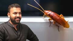 Cockroaches Survival Skills : భూమిపై బొద్దింకలు ఎప్పటి నుంచి ఉన్నాయంటే.? | ABP Desam