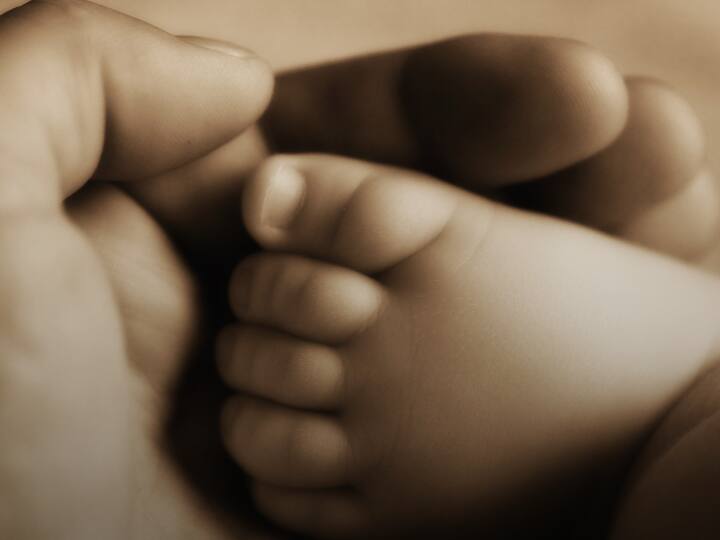 इसके बाद सारे डिटेल्स को क्रॉस चेक करके आप इसे सब्मिट कर दें.