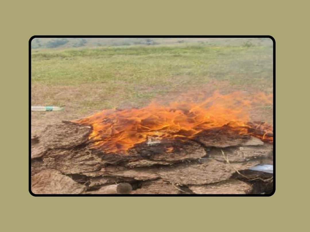 Kolhapur News funeral procession on the mountain and suspicion grew but as soon as it was revealed Kolhapur News : डोंगरावर जळत होती चिता अन् संशय बळावला, पण उलघडा होताच प्रकार समोर आला तिसराच!