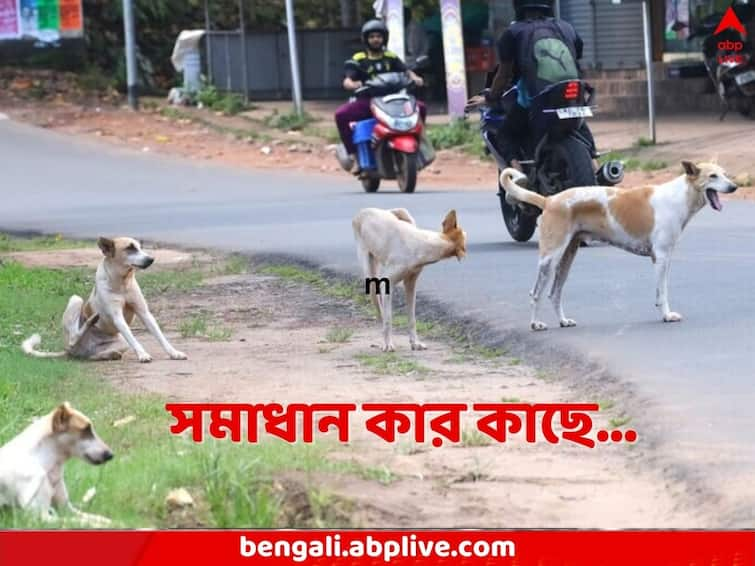 As businessman Parag Desai Dies of alleged dog attack will India come out of Stray Dog Problems Stray Dogs Problem In India: রাস্তায় বেরনোর উপায় নেই, রক্ষা পেলেন না কোটিপতি ব্যবসায়ীও, পথকুকুরদের আগ্রাসন থেকে মুক্তি মিলবে কি?