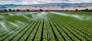 Punjab News: ਮਾਨਸਾ ਆਲਿਆਂ ਨੂੰ ਹੋਵੇਗੀ ਸੌਖ ! 87 ਲੱਖ ਖ਼ਰਚ ਕਰਕੇ 1000 ਕਿੱਲੇ ਜ਼ਮੀਨ ਦੀ ਹੋਵੇਗੀ ਸਿੰਚਾਈ-ਸਿੰਗਲਾ