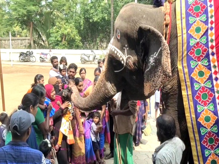 Vijayadashami 2023: யானை, குதிரை ஊர்வலத்துடன் குழந்தைகளுக்கு வரவேற்பு அளித்த தருமபுரம் ஆதீனம் பள்ளி