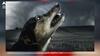 Dogs Cry: ਰਾਤ ਨੂੰ ਅਕਸਰ ਕਿਉਂ ਰੋਂਦੇ ਕੁੱਤੇ ? ਕੀ ਸੱਚਮੁੱਚ ਉਨ੍ਹਾਂ ਨੂੰ ਨਜ਼ਰ ਆਉਂਦੀ ਕਿਸੇ ਦੀ ਆਤਮਾ