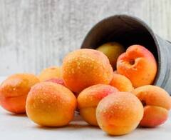 Health News: ਇਹ ਫਲ ਬ੍ਰੇਨ ਬੂਸਟਿੰਗ ਲਈ ਫਾਇਦੇਮੰਦ...ਦਿਮਾਗ ਹੁੰਦਾ ਤੇਜ਼, ਜਾਣੋ ਇਨ੍ਹਾਂ ਬਾਰੇ