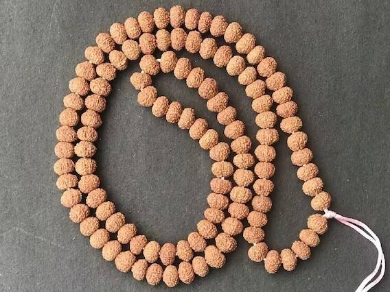 શાસ્ત્રો અનુસાર દસ મુખી રુદ્રાક્ષનો ઉપયોગ કરવાથી દસ દિશાઓ અને દસ મહાવિદ્યાઓના સ્વામીની કૃપા પ્રાપ્ત થાય છે.