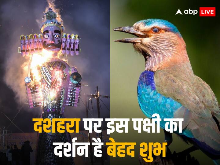 Dussehra 2023 Hindu mythology says Seeing this bird on Vijayadashami will brighten your luck ann Dussehra 2023: दशहरा पर इस पक्षी के दर्शन करने से चमक जाएगी आपकी किस्मत, पुराणों में है विशेष महत्व