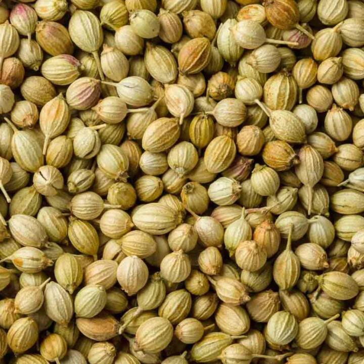 ਕੋਲੇਸਟ੍ਰੋਲ ਦਾ ਵਧਿਆ ਹੋਇਆ ਪੱਧਰ ਸਾਡੀ ਸਿਹਤ ਲਈ ਕਾਫ਼ੀ ਹਾਨੀਕਾਰਕ ਸਾਬਤ ਹੁੰਦਾ ਹੈ। ਇਸ ’ਚ ਦਿਲ ਨਾਲ ਜੁੜੀ ਬਿਮਾਰੀਆਂ ਦਾ ਖ਼ਤਰਾ ਕਾਫ਼ੀ ਵੱਧ ਜਾਂਦਾ ਹੈ। ਨਾਲ ਹੀ ਇਹ ਸਟ੍ਰੋਕ ਦੀ ਵਜ੍ਹਾਂ ਵੀ ਬਣ ਸਕਦਾ ਹੈ। ਅਜਿਹੇ 'ਚ ਸਰੀਰ 'ਚ ਵਧੇ ਹੋਏ ਕੋਲੇਸਟ੍ਰੋਲ ਨੂੰ ਕੰਟਰੋਲ 'ਚ ਰੱਖਣਾ ਜ਼ਰੂਰੀ ਹੈ। ਇਸ ਲਈ ਤੁਸੀਂ ਧਨੀਏ ਦੇ ਬੀਜਾਂ ਦੀ ਵੀ ਵਰਤੋਂ ਕਰ ਸਕਦੇ ਹੋ।