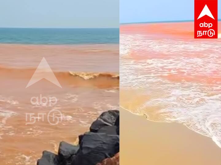 Puducherry sea area suddenly changed red color Tourists in shock TNN மீண்டும் திடீரென நிறம் மாறிய புதுச்சேரி கடல் நீர் - காரணம் என்ன தெரியுமா ?