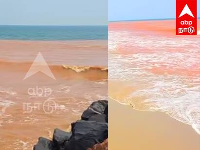 Puducherry sea area suddenly changed red color Tourists in shock TNN மீண்டும் திடீரென நிறம் மாறிய புதுச்சேரி கடல் நீர் - காரணம் என்ன தெரியுமா ?