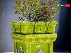 Kartik Maas 2023: कार्तिक मास में तुलसी पूजा का महत्व जानें, दूर होंगी आर्थिक मुश्किलें