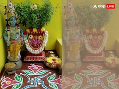 Kartik Maas 2023: कार्तिक मास में तुलसी पूजा का महत्व जानें, दूर होंगी आर्थिक मुश्किलें