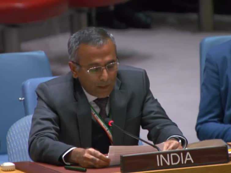 'Would Treat Remarks With Contempt They Deserve': India On Pakistan's Kashmir Reference At UNSC Meet