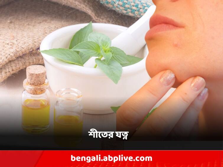 Winter skin care routine all you need to know Winter Care: শীতের শুরুতেই নিষ্প্রাণ ত্বক! কোন উপায়ে যত্ন নিলে ভুগতে হবে না এই মরশুমে