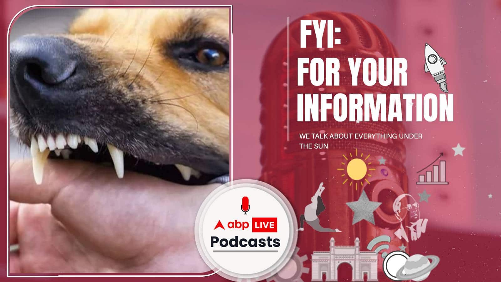 वाघ बकरी के मालिक की मौत के बाद गर्माया आवारा कुत्तों का मामला, Dog Attack करे तो आपका पहला कदम क्या होना चाहिए, जानें | FYI