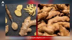 Ginger water Benefits: ਸਵੇਰੇ ਖਾਲੀ ਪੇਟ ਅਦਰਕ ਦਾ ਪਾਣੀ ਪੀਣ ਦੇ 5 ਫਾਇਦੇ
