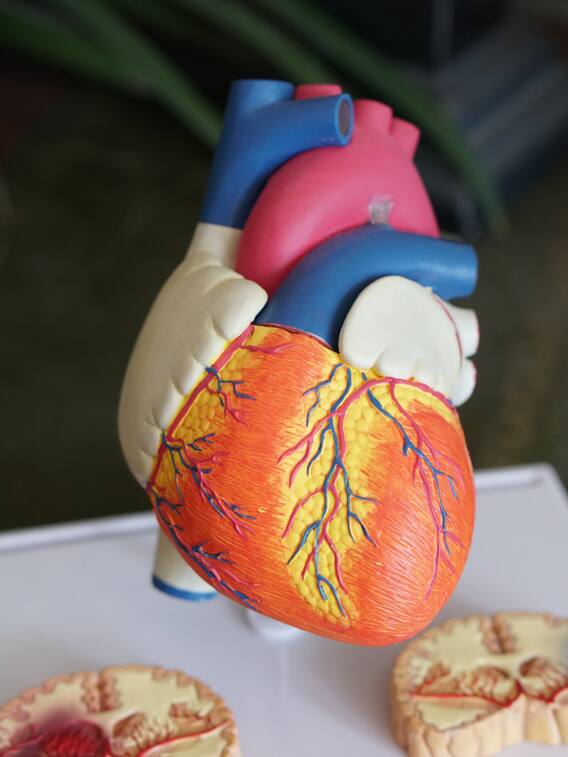 दिल की बीमारी से बचने के लिए करें ये उपाय