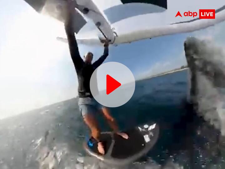 Australia Sydney Wind Surfer Attack by Humpback Whale Viral Video समुद्र में सर्फिंग कर रहा था शख्स, पीछे से आई व्हेल और घसीटकर ले गई पानी के भीतर, देखें खौफनाक वीडियो