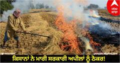 Stubble Burning: ਕਿਸਾਨਾਂ ਨੇ ਮਾਰੀ ਸਰਕਾਰੀ ਅਪੀਲਾਂ ਨੂੰ ਠੋਕਰ! ਪਰਾਲੀ ਸਾੜਨ ਦੇ ਟੁੱਟਣ ਲੱਗੇ ਰਿਕਾਰਡ