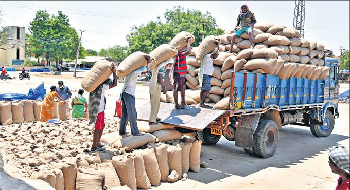 577.46 lakh quintals of paddy have been purchased in Haryana Paddy: ਹਰਿਆਣਾ ਨੇ ਝੋਨੇ ਦੀ ਖਰੀਦ ਦੇ ਤੋੜੇ ਸਾਰੇ ਰਿਕਾਰਡ, ਪੰਜਾਬ ਨੂੰ ਵੀ ਛੱਡਿਆ ਪਿੱਛੇ !