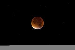 Lunar Eclipse: শারদ পূর্ণিমাতেই ঢাকবে চাঁদ! কোন সময় ভারত থেকে দেখা যাবে গ্রহণ?