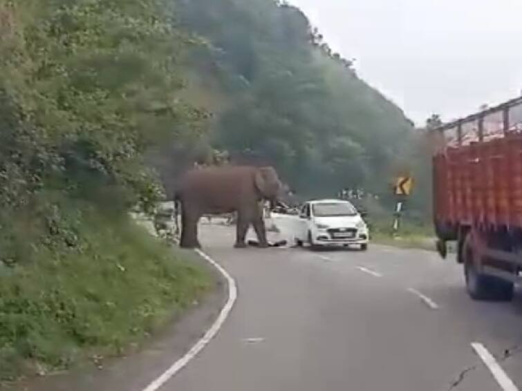 A wild elephant hit a car on a mountain road in Nilgiris நீலகிரி: மலைப்பாதையில் காரை தாக்கிய காட்டு யானை -  உயிர் தப்பிய பயணிகள்