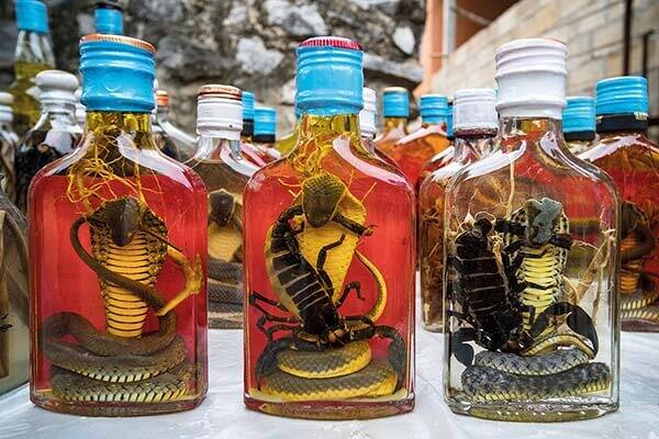 how to make Snake Wine, worlds unique liquor live snake wine in vietnam Snake Wine: ਜ਼ਿੰਦਾ ਸੱਪਾਂ ਨੂੰ ਡੱਬਿਆਂ ਵਿੱਚ ਰੱਖ ਕੇ ਬਣਾਈ ਜਾਂਦੀ ਹੈ ਦੁਨੀਆ ਦੀ ਸਭ ਤੋਂ ਅਜੀਬ ਸ਼ਰਾਬ, ਦੇਖੋ ਕਿਵੇਂ ਹੁੰਦੀ ਤਿਆਰ ?