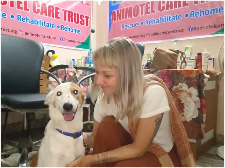 uttar pradesh a stray dog from varanasi to fly abroad know the story behind ann Varanasi: बनारस की गलियों में घूमने वाले इस फीमेल डॉग की चमकी किस्मत, विदेश में मिलेगा आशियाना