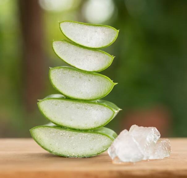 ਇਹ ਵਾਲਾਂ ਅਤੇ ਖੋਪੜੀ ਨੂੰ ਹਾਈਡਰੇਟ ਰੱਖ ਕੇ ਡੈਂਡਰਫ ਨੂੰ ਰੋਕਦਾ ਹੈ। ਹਫ਼ਤੇ ਵਿੱਚ ਦੋ ਤੋਂ ਤਿੰਨ ਵਾਰ ਐਲੋਵੇਰਾ ਦੀ ਵਰਤੋਂ ਕਰਨ ਨਾਲ ਵਾਲਾਂ ਵਿੱਚੋਂ ਸਿੱਕਰੀ ਹੌਲੀ-ਹੌਲੀ ਦੂਰ ਹੋ ਜਾਵੇਗਾ ਅਤੇ ਵਾਲ ਚਮਕਦਾਰ ਅਤੇ ਸਿਹਤਮੰਦ ਬਣ ਜਾਣਗੇ। ਵਾਲਾਂ 'ਤੇ ਐਲੋਵੇਰਾ ਜੈੱਲ ਲਗਾ ਕੇ ਡੈਂਡਰਫ ਨੂੰ ਪੂਰੀ ਤਰ੍ਹਾਂ ਖਤਮ ਕੀਤਾ ਜਾ ਸਕਦਾ ਹੈ। ਇਸ ਕੁਦਰਤੀ ਉਪਾਅ ਨੂੰ ਅਪਣਾ ਕੇ ਕੋਈ ਵੀ ਡੈਂਡਰਫ ਤੋਂ ਛੁਟਕਾਰਾ ਪਾ ਸਕਦਾ ਹੈ।