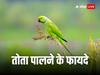 Vastu Tips: घर पर तोता पालने के हैं कई फायदे, लेकिन इन बातों का रखें ध्यान