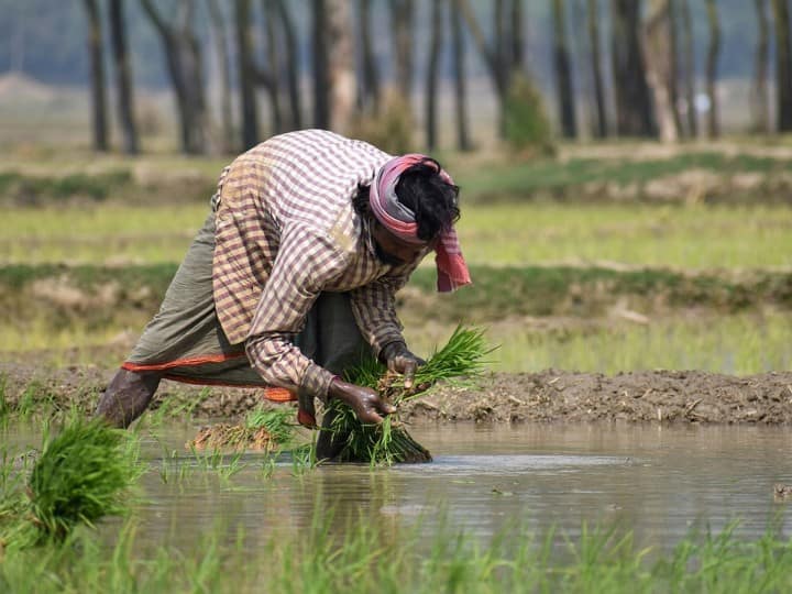 PM Kisan Samman Nidhi Yojana 15th Installment Released PM Kisan Yojana: PM નરેન્દ્ર મોદીએ કિસાન નિધિનો 15મો હપ્તો જાહેર કર્યો, આઠ કરોડથી વધુ ખેડૂતોના ખાતામાં પહોંચ્યા રૂપિયા