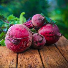 Beetroot SIde Effects: ਚੁਕੰਦਰ ਦੀ ਜ਼ਿਆਦਾ ਵਰਤੋ ਇਹਨਾਂ ਬਿਮਾਰੀਆਂ ਨੂੰ ਦਿੰਦੀ ਸੱਦਾ