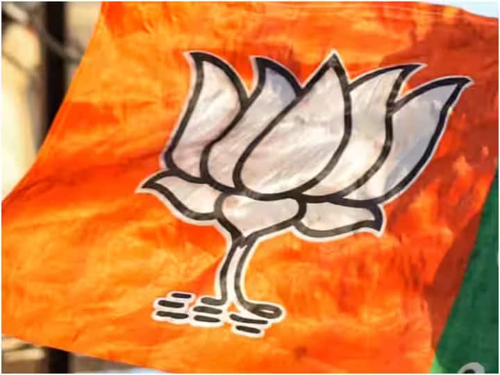 Controversy in Naroda BJP organisation  Ahmedabad: નરોડા ભાજપ સંગઠનમાં ખેંચતાણ, જાણો શું કરાઈ ફરિયાદ ?