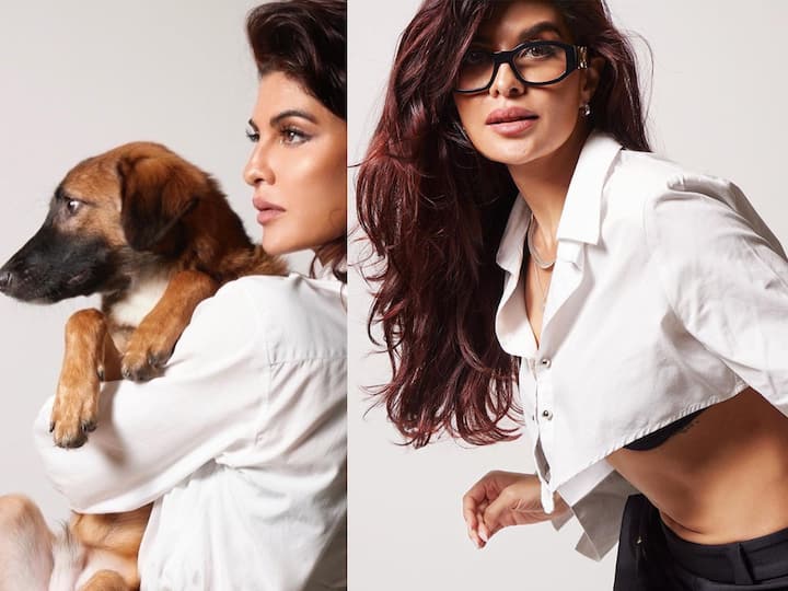 Jacqueline Fernandez creates a wave on the internet every time she posts a picture. This time, the actress grabbed attention with a new formal look.