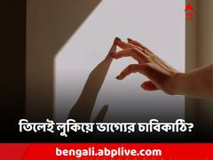 আপনার অর্থকষ্ট কি কখনও মিটবে? বলে দেবে হাতে তিলের অবস্থান