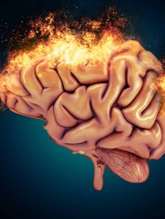 ब्रेन को एक्टिव रखने के लिए फॉलो करें ये टिप्स