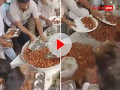 Watch: शादी समारोह में गुलाब जामुन के लिए मची लूट, VIDEO देख हंसते हंसते होंगे लोटपोट