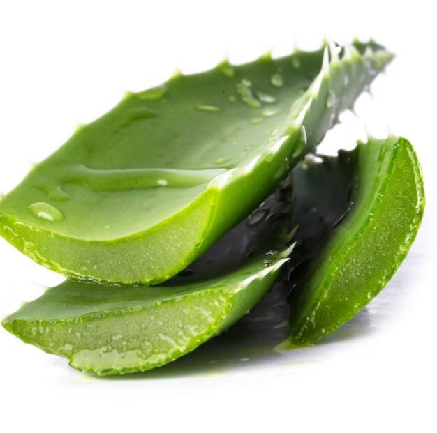 ਐਲੋਵੇਰਾ ਵਿੱਚ ਕਈ ਅਜਿਹੇ ਗੁਣ ਪਾਏ ਜਾਂਦੇ ਹਨ ਜੋ ਡੈਂਡਰਫ ਨੂੰ ਦੂਰ ਕਰ ਸਕਦੇ ਹਨ। ਇਸ 'ਚ ਐਂਟੀ-ਫੰਗਲ, ਐਂਟੀ-ਬੈਕਟੀਰੀਅਲ ਅਤੇ ਐਂਟੀ-ਇੰਫਲੇਮੇਟਰੀ ਗੁਣ ਪਾਏ ਜਾਂਦੇ ਹਨ। ਇਹ ਗੁਣ ਡੈਂਡਰਫ ਦੇ ਵਿਕਾਸ ਨੂੰ ਰੋਕਦੇ ਹਨ। ਐਲੋਵੇਰਾ 'ਚ ਮੌਜੂਦ ਐਨਜ਼ਾਈਮ ਚਮੜੀ ਦੇ ਮਰੇ ਹੋਏ ਸੈੱਲਾਂ ਨੂੰ ਸਾਫ ਕਰਦੇ ਹਨ ਜੋ ਡੈਂਡਰਫ ਦਾ ਕਾਰਨ ਬਣਦੇ ਹਨ।