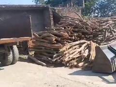 जंगल माफियाओं पर वन विभाग का शिकंजा, लाखों रुपये की लकड़ी जब्त